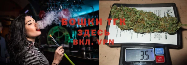 дживик Каменка