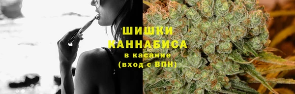 дживик Каменка