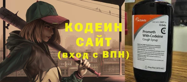 гидра Каменногорск