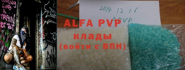 гидра Каменногорск