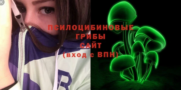 гидра Каменногорск