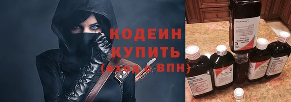 гидра Каменногорск