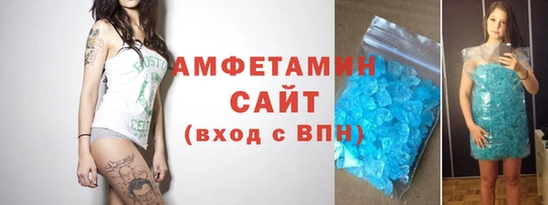 гидра Каменногорск