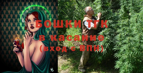 гидра Каменногорск