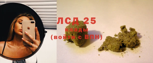 дживик Каменка