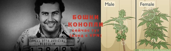 дживик Каменка