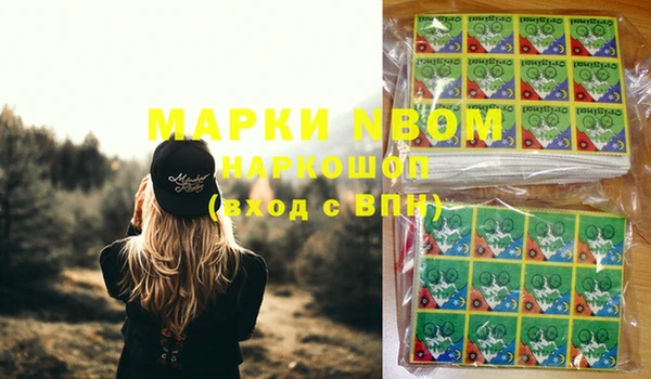 гидра Каменногорск