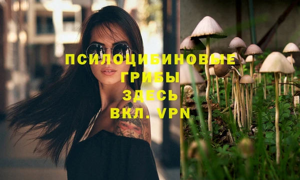 дживик Каменка