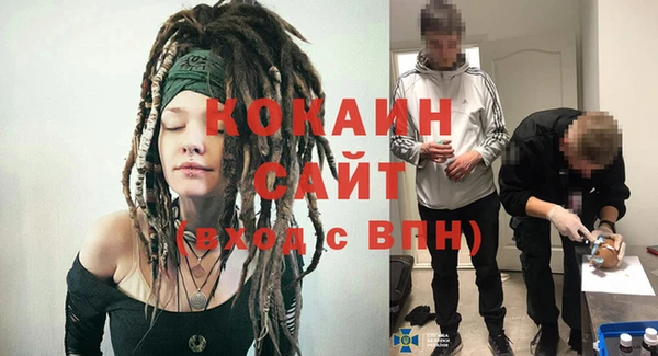 дживик Каменка