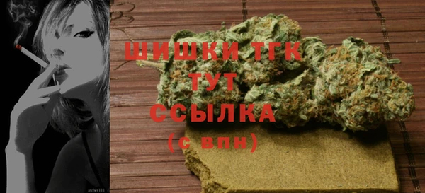 гидра Каменногорск