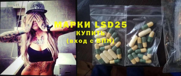 гидра Каменногорск